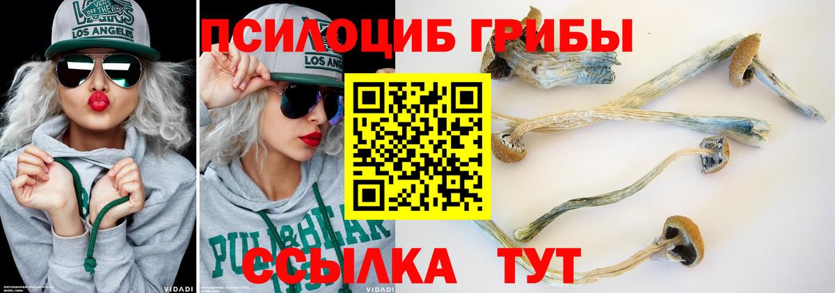 Галлюциногенные грибы Psilocybine cubensis Изобильный