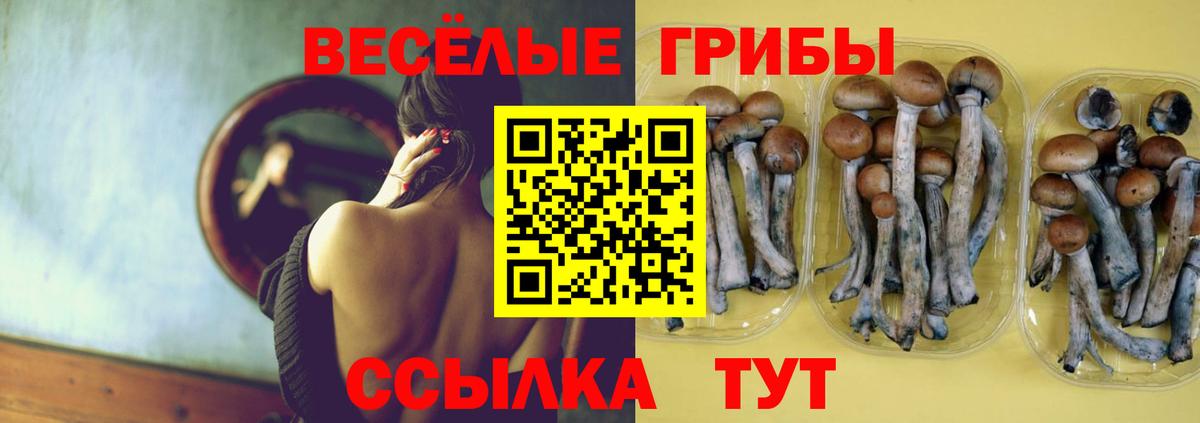 Меф кристаллы  ГАШ  Изобильный  КОКАИН  Вход с VPN  МЕТАМФЕТАМИН  Конопля  А ПВП СК кристаллы 